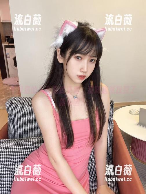 不呆猫的天台图库更新，猫咪居然找到了新乐园？