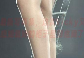 丽柜 – 最新写真集，这次Vicky又来了，顺便也想知道她的柜子里到底藏了啥啊。