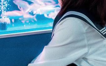 图包里的无圣光：居家少女河豚抚子带我飞？
