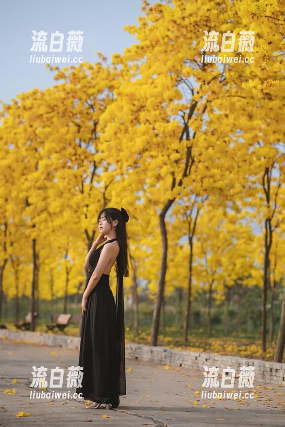黑色如果会说话，它也会说：美图，我来啦！见萌芽儿o0！